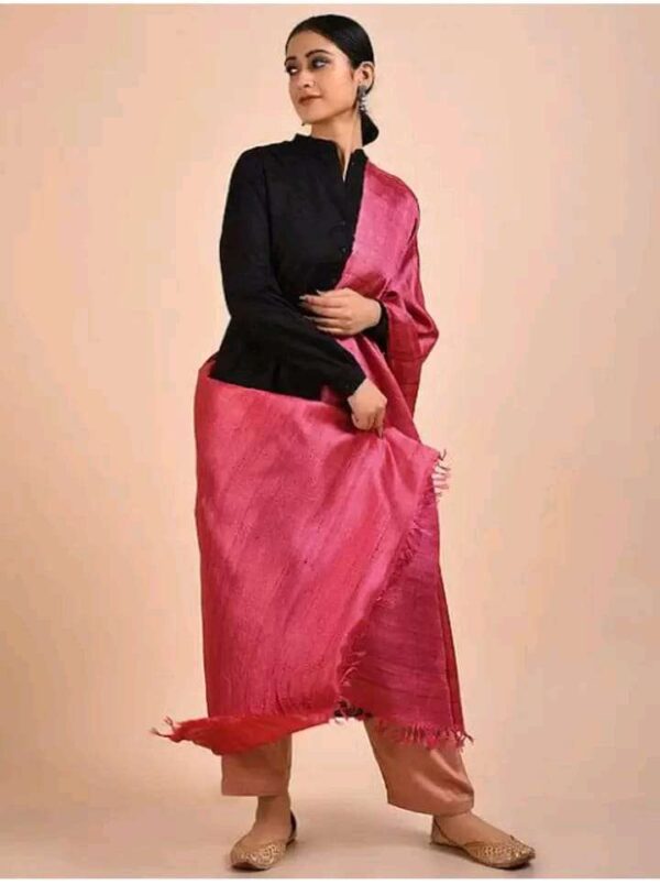Buy Tussar Ghicha Silk Plan Dupatta