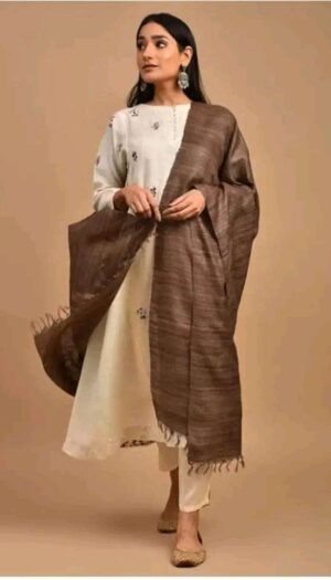 Buy Tussar Ghicha Silk Plan Dupatta
