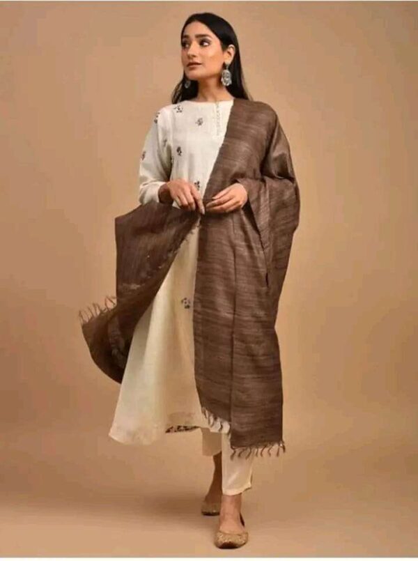 Buy Tussar Ghicha Silk Plan Dupatta