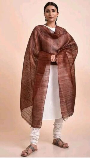 Buy Tussar Ghicha Silk Plan Dupatta