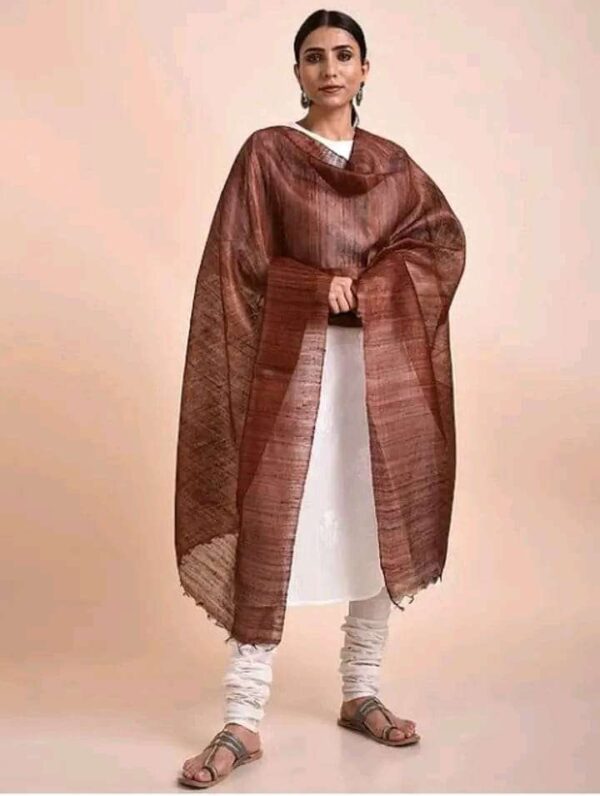 Buy Tussar Ghicha Silk Plan Dupatta