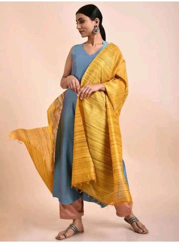Buy Tussar Ghicha Silk Plan Dupatta