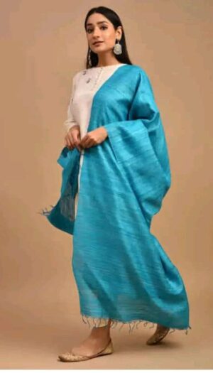Buy Tussar Ghicha Silk Plan Dupatta