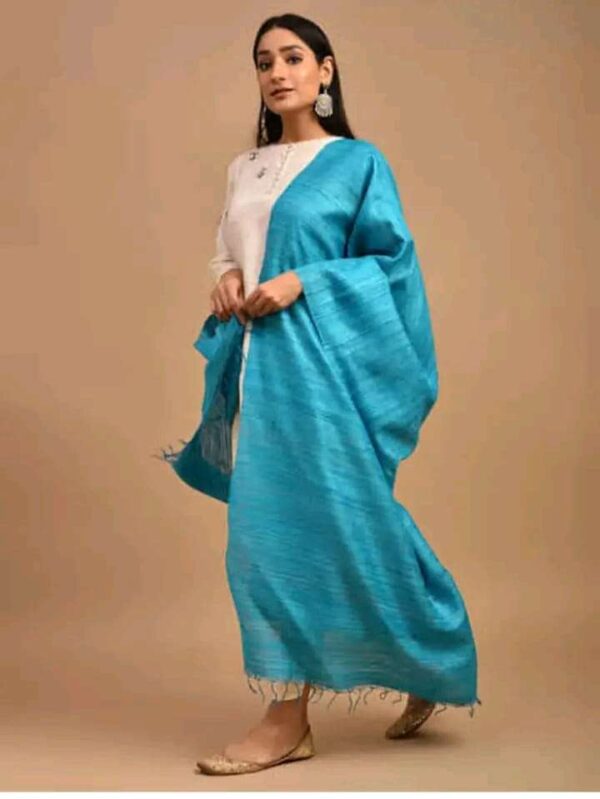 Buy Tussar Ghicha Silk Plan Dupatta