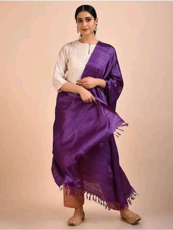 Buy Tussar Ghicha Silk Plan Dupatta