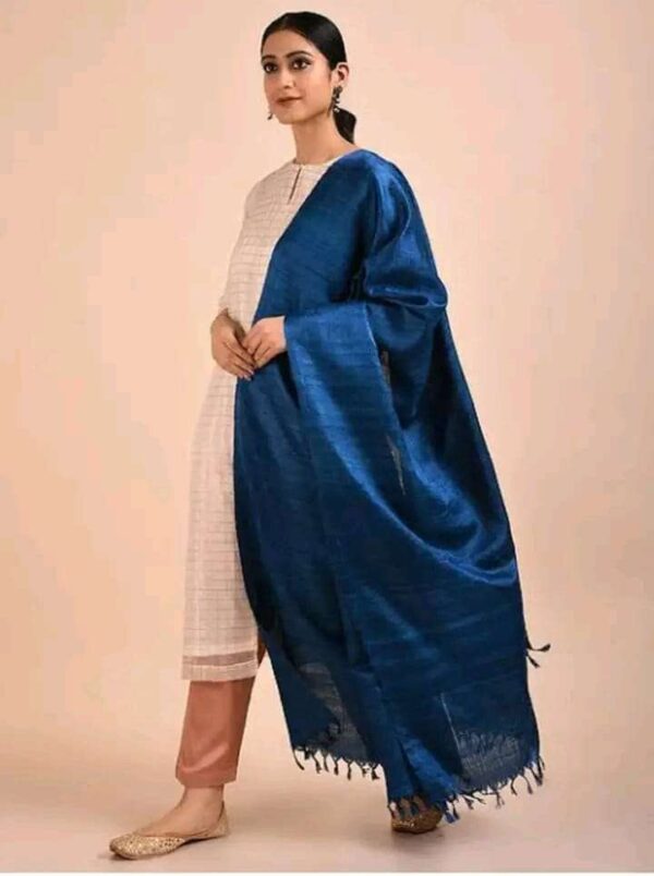 Buy Tussar Ghicha Silk Plan Dupatta