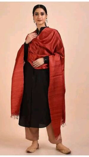 Buy Tussar Ghicha Silk Plan Dupatta