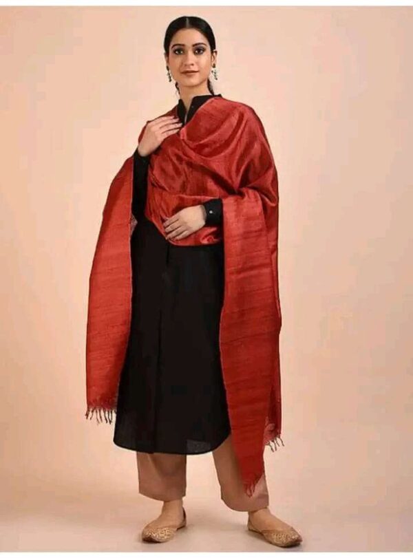 Buy Tussar Ghicha Silk Plan Dupatta