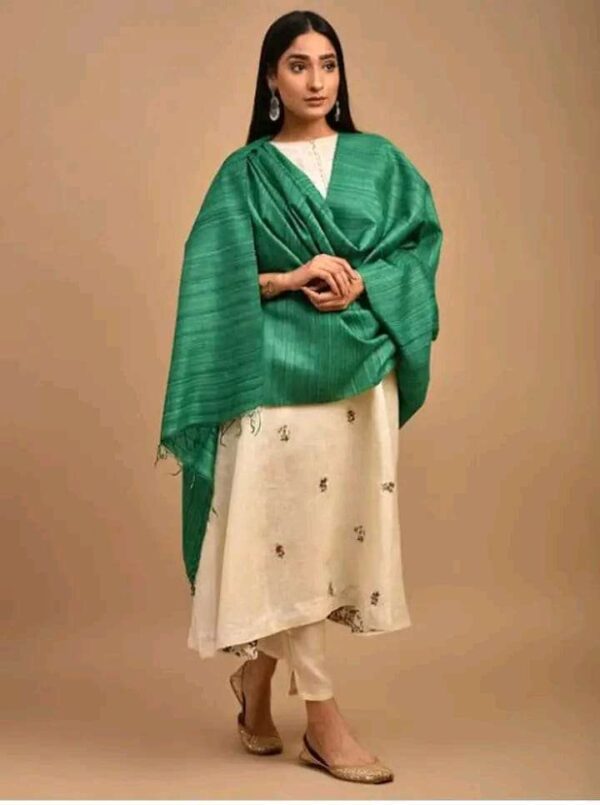 Buy Tussar Ghicha Silk Plan Dupatta