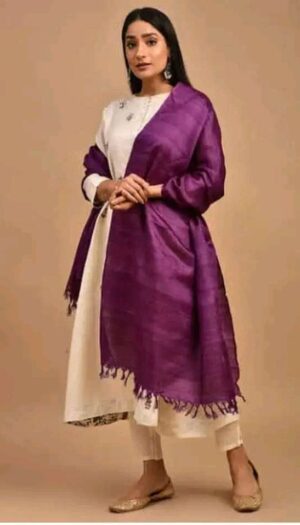 Buy Tussar Ghicha Silk Plan Dupatta