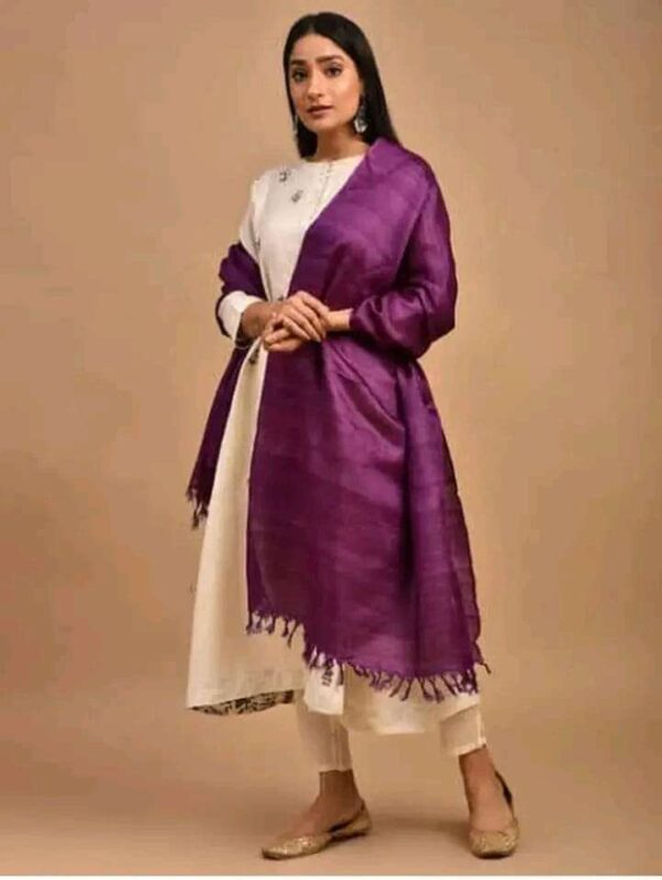 Buy Tussar Ghicha Silk Plan Dupatta